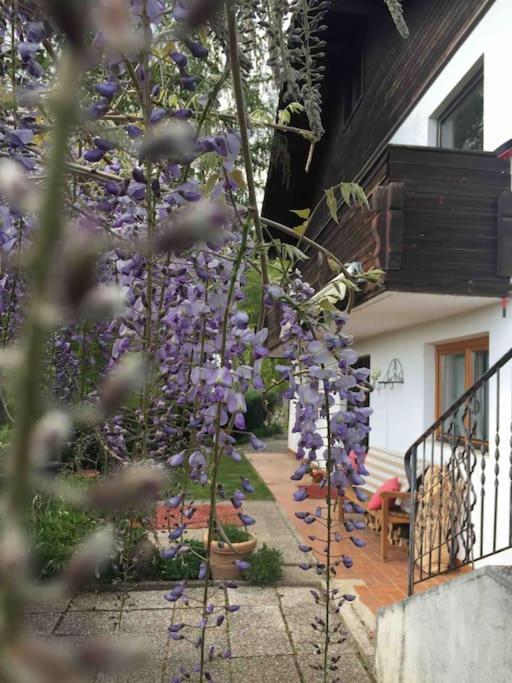 Charmantes Landhaus Mit Garten Und Traumhaftem Fernblick Thal  المظهر الخارجي الصورة