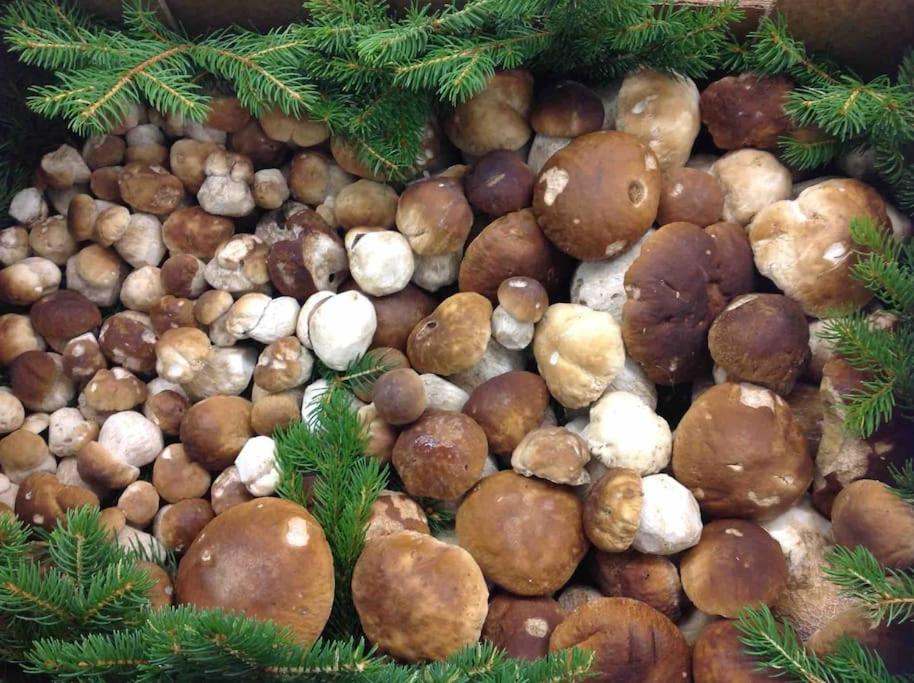 Charmantes Landhaus Mit Garten Und Traumhaftem Fernblick Thal  المظهر الخارجي الصورة