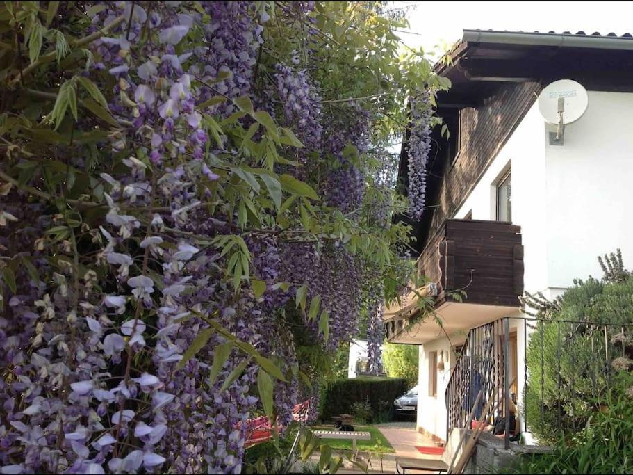 Charmantes Landhaus Mit Garten Und Traumhaftem Fernblick Thal  المظهر الخارجي الصورة