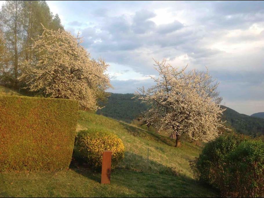 Charmantes Landhaus Mit Garten Und Traumhaftem Fernblick Thal  المظهر الخارجي الصورة