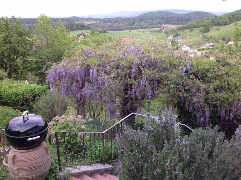Charmantes Landhaus Mit Garten Und Traumhaftem Fernblick Thal  المظهر الخارجي الصورة